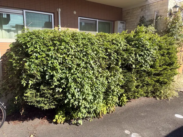 ◆植え込み・生垣などの剪定◆定期作業もお任せくださいサービスの画像