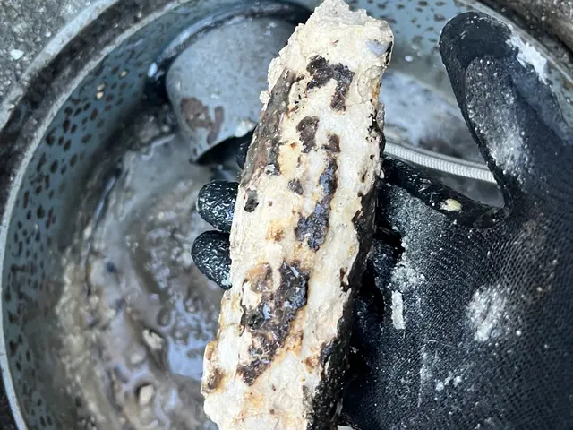 排水口の清掃無料対応中！作業結果をカメラで確認できる確実な作業をお約束！サービスの画像