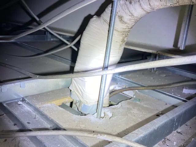 経験豊かな店長が様々な施工方法でネズミ駆除を行いますサービスの画像