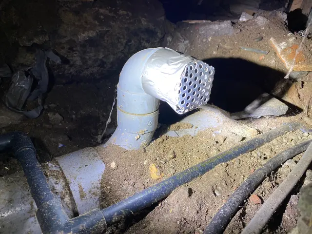 経験豊かな店長が様々な施工方法でネズミ駆除を行いますサービスの画像