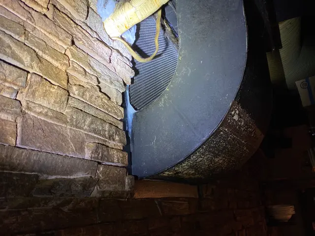 経験豊かな店長が様々な施工方法でネズミ駆除を行いますサービスの画像