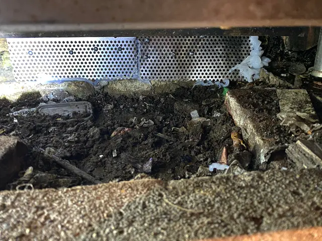 経験豊かな店長が様々な施工方法でネズミ駆除を行いますサービスの画像