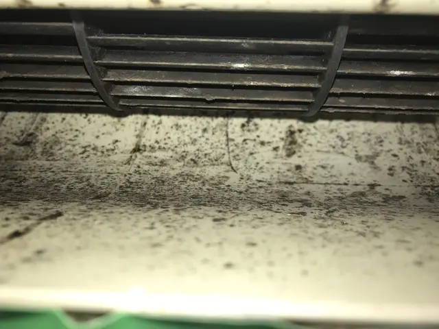 【複数割引あり！】口コミ数NO1 ！抗菌コート、ドレンホース洗浄無料！女性同行可サービスの画像