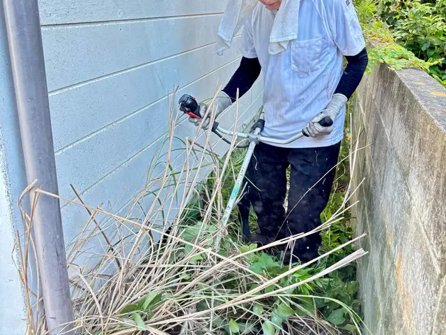 "一切の外注なし、店長自身が手掛ける庭木伐採・サービス"サービスの画像