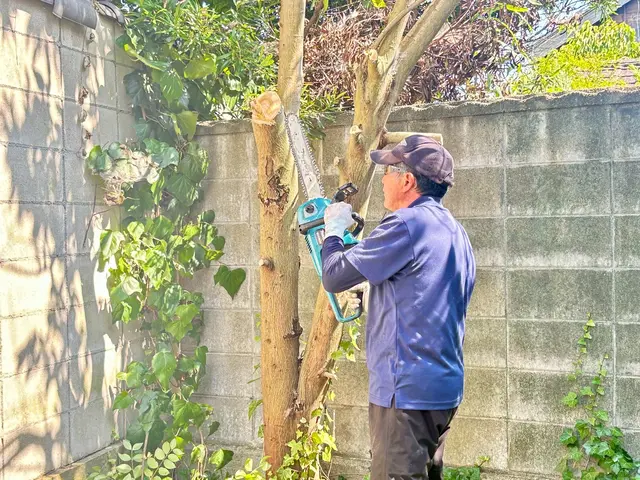 "一切の外注なし、店長自身が手掛ける庭木伐採・サービス"サービスの画像
