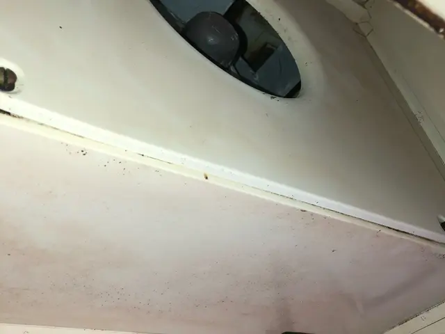 ☆初めての方も安心☆プロの仕事でお客様のキレイな暮らしをお手伝い♪サービスの画像