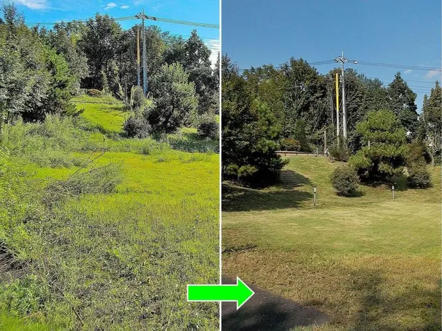 ★お庭の悩みお任せ下さい。１級造園技能士がご要望にお応えします！芝刈りも実施中!サービスの画像