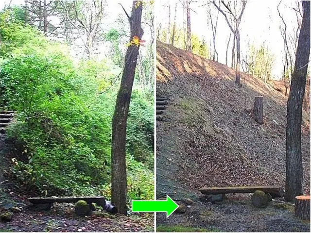 ★お庭の悩みお任せ下さい。１級造園技能士がご要望にお応えします！芝刈りも実施中!サービスの画像