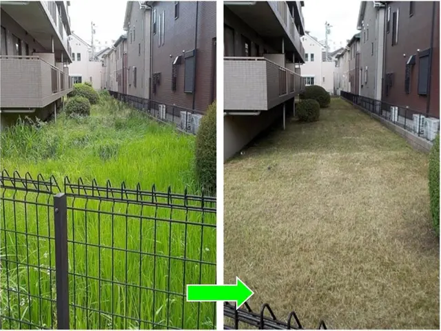 ★お庭の悩みお任せ下さい。１級造園技能士がご要望にお応えします！芝刈りも実施中!サービスの画像