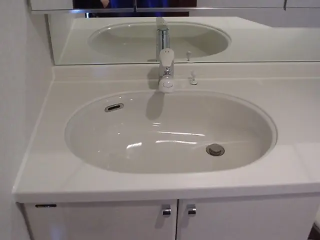 洗面所クリーニング♪気になる汚れもスッキリ落とします♪業界歴20年非喫煙者です。サービスの画像