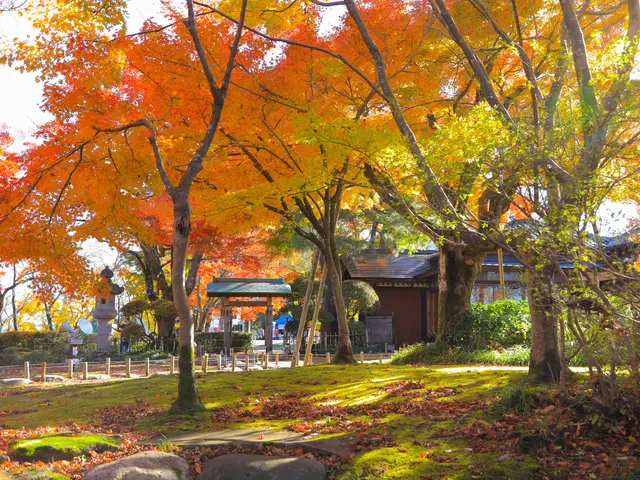 店舗・商品・イベント出張撮影　撮影全データ+SNS用データ付