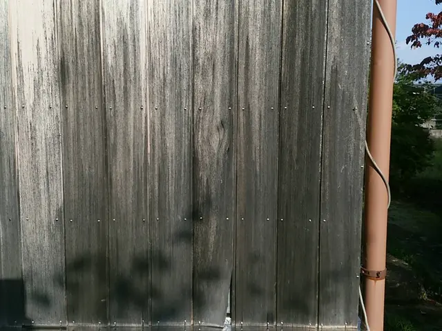 白木洗いのプロにお任せ下さい、和室.玄関ポーチ等、経年劣化や汚れを美しく！サービスの画像