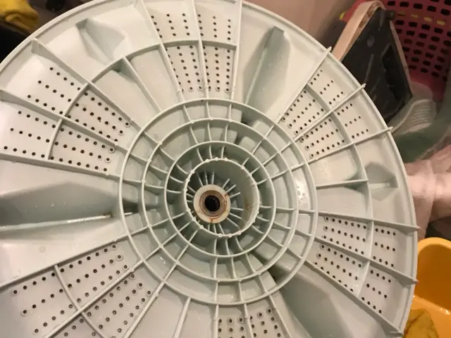 洗濯機分解清掃【メーカー出身メンテナンス職人直伝の技術】サービスの画像