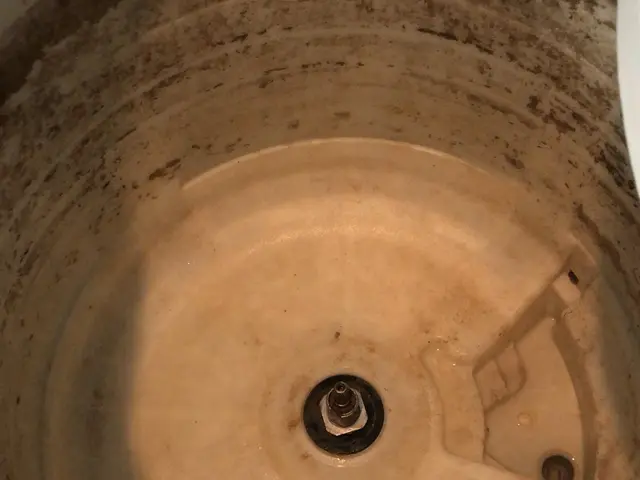 洗濯機分解清掃【メーカー出身メンテナンス職人直伝の技術】サービスの画像