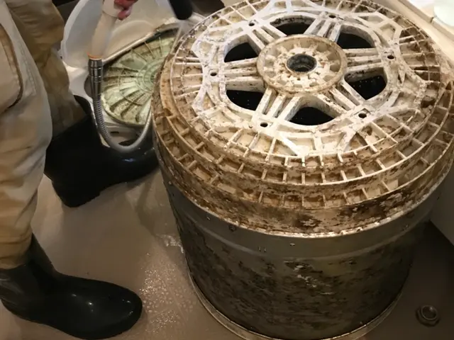 洗濯機分解清掃【メーカー出身メンテナンス職人直伝の技術】サービスの画像