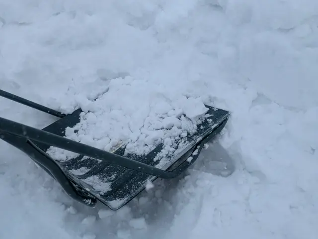 こころわの雪かき雪下ろしサービス　くらしのマーケット出店記念セール中！サービスの画像