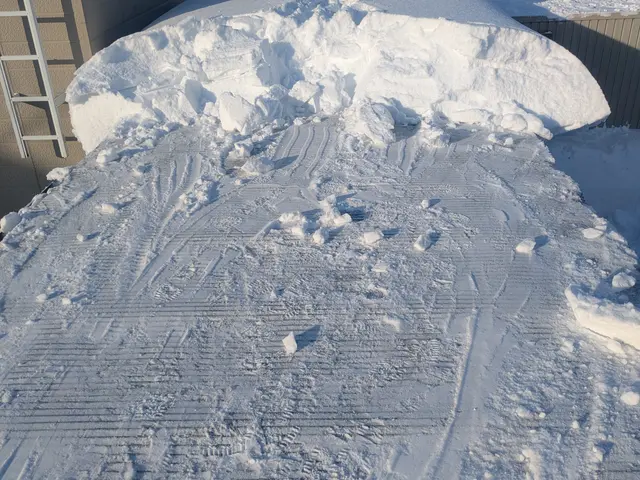 こころわの雪かき雪下ろしサービス　くらしのマーケット出店記念セール中！サービスの画像