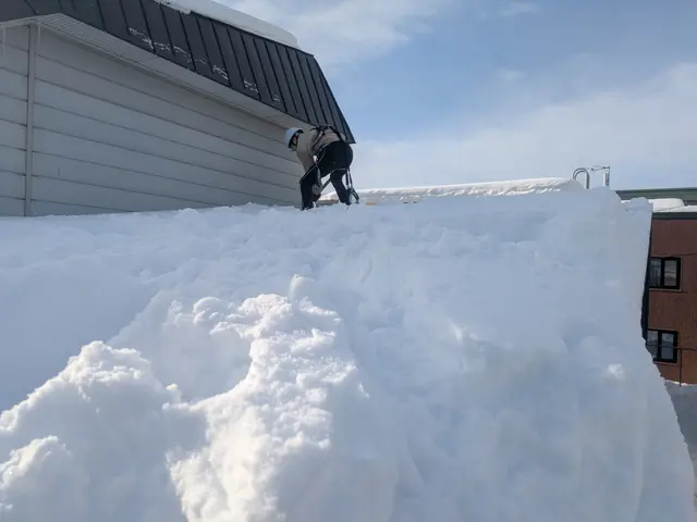 こころわの雪かき雪下ろしサービス　くらしのマーケット出店記念セール中！サービスの画像