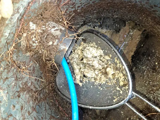 ☆オープンキャンペーン価格☆　詰まりのストレスゼロへ！！サービスの画像