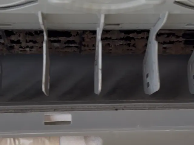 【2度洗いで汚れを徹底洗浄！】複数台2台で1000円割引◆抗菌コート無料◎サービスの画像