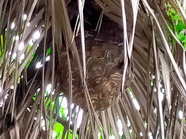 茨木より。即日・時間外作業の対応も可能です。予約前に先ずはご相談下さい。サービスの画像