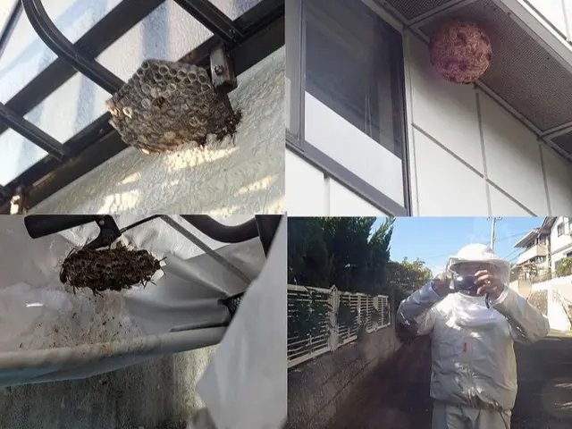 茨木より。即日・夜間の駆除も可能。お急ぎの際はお気軽にお問い合わせ下さい。サービスの画像