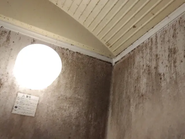 お風呂は１日の疲れを落とす場所～綺麗な、お風呂にゆったり、のんびり入りたいですねサービスの画像