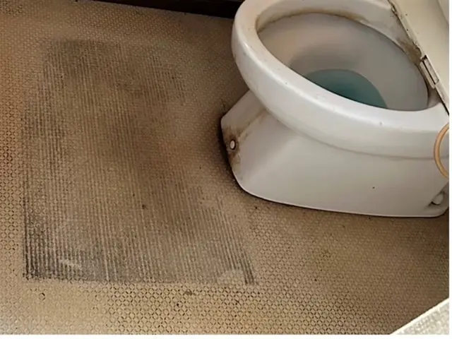 【滋賀】作業は女性スタッフのみ！　忙しいあなたに代わってお掃除、片付けを致しますサービスの画像