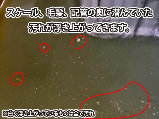 革命独自の「浴室追い焚き配管除菌洗浄」！！サービスの画像