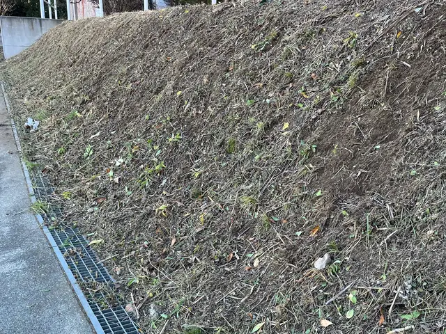 地域密着！経験10年以上、2級造園施工管理技士による草刈りサービスの画像