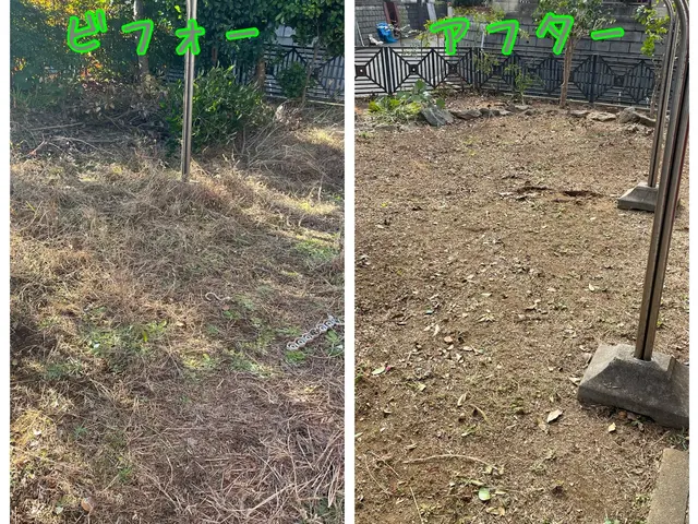 地域密着！経験10年以上、2級造園施工管理技士による草刈り　損害保険加入済みサービスの画像