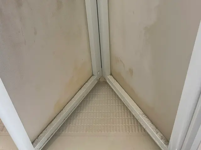 【地元密着】白いモヤモヤ、お任せください！！サービスの画像