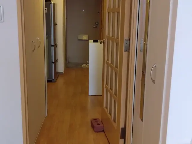 【お片付け、家事代行サービス】女性特化型サービスの画像