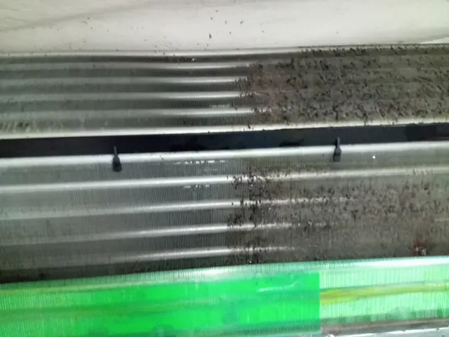 損害保険加入【6年実績】子供向けスポーツトレナーが対応　安心してご依頼下さい。サービスの画像