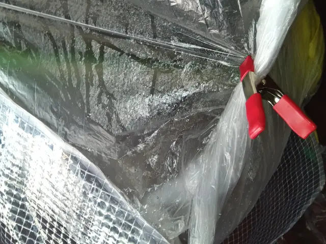 損害保険加入【6年実績】子供向けスポーツトレナーが対応　安心してご依頼下さい。サービスの画像