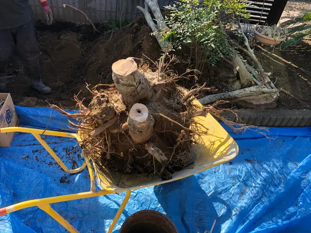 ◆重機の入る広い場所の伐採、伐根作業なら当社にお任せ◆(人''▽｀)サービスの画像