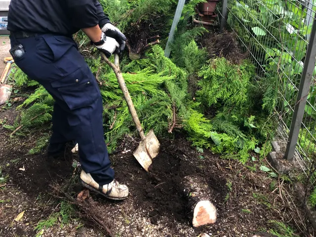◆重機の入る広い場所の伐採、伐根作業なら当社にお任せ◆(人''▽｀)サービスの画像
