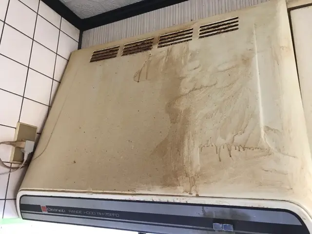 新人同行キャンペーン　20%オフサービスの画像