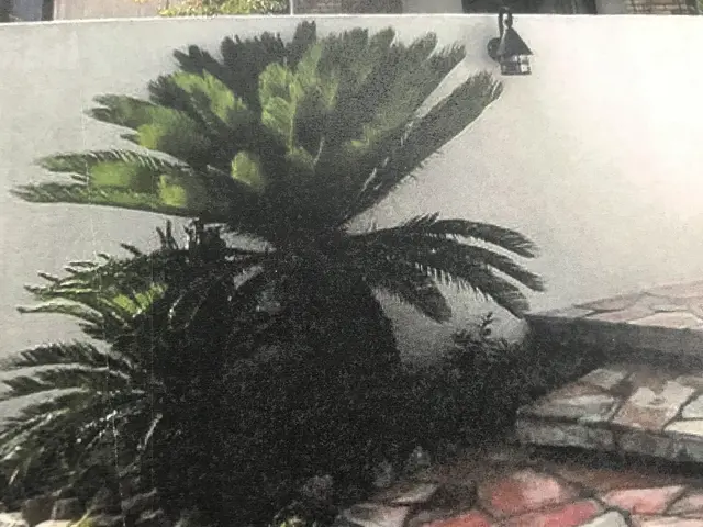 【平日営業☆営業時間外の作業も可能】ベテラン職人による丁寧なサービスをご提供◎サービスの画像