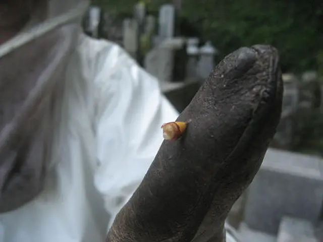 東京都★蜂の巣駆除は当社におまかせください！土日祝日OKです！サービスの画像