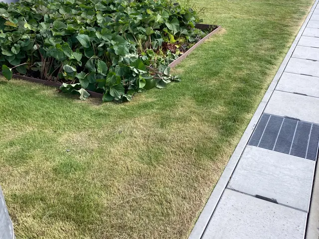 【安心価格でご奉仕！】クレカ・PayPay・電子マネー当日お支払い対応致します。サービスの画像