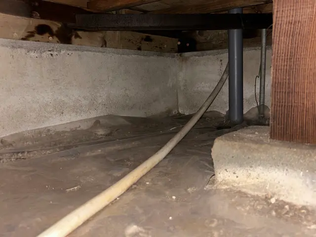 シロアリ予防、駆除消毒サービスの画像