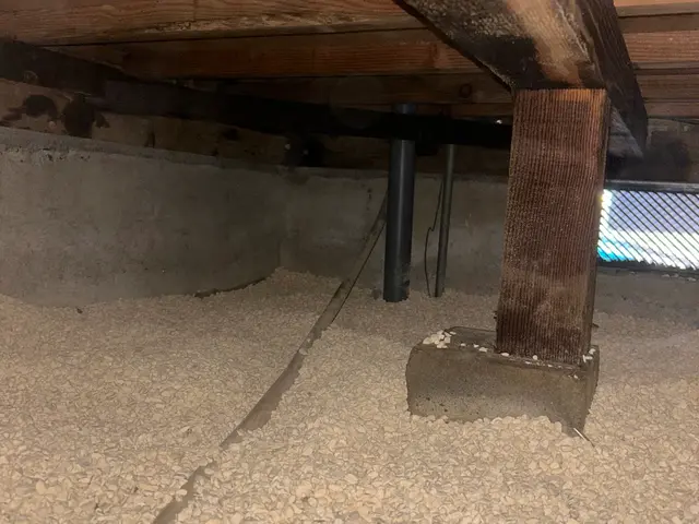 シロアリ予防、駆除消毒サービスの画像