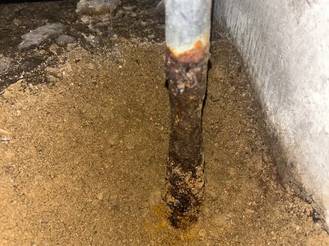 シロアリ予防、駆除消毒サービスの画像