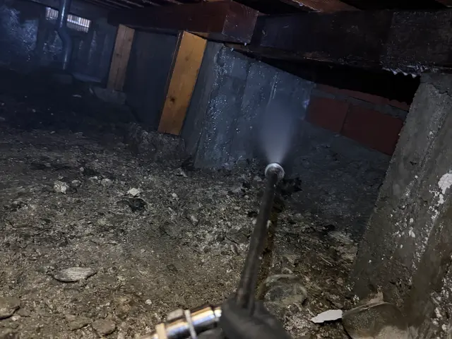 シロアリ予防、駆除消毒サービスの画像