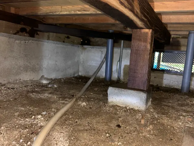 シロアリ予防、駆除消毒サービスの画像