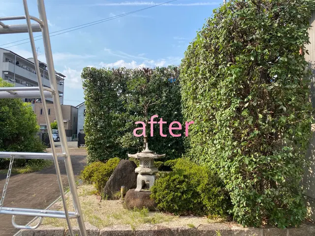 生垣の刈込み作業サービスの画像