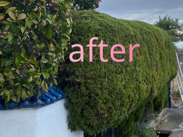 生垣の刈込み作業サービスの画像