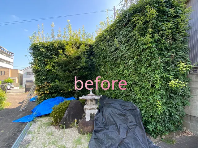 生垣の刈込み作業サービスの画像