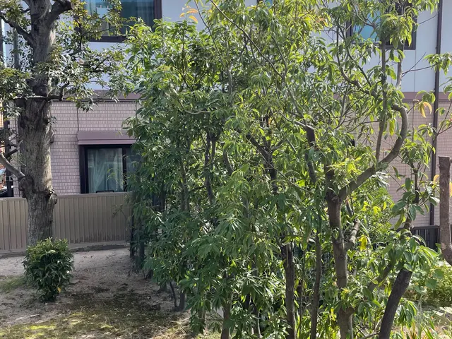 お客様に寄り添った経験と技術で対応！庭木剪定500件以上の実績！サービスの画像